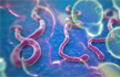 Ebola suspect traced to Delhi - no panic, Health Min